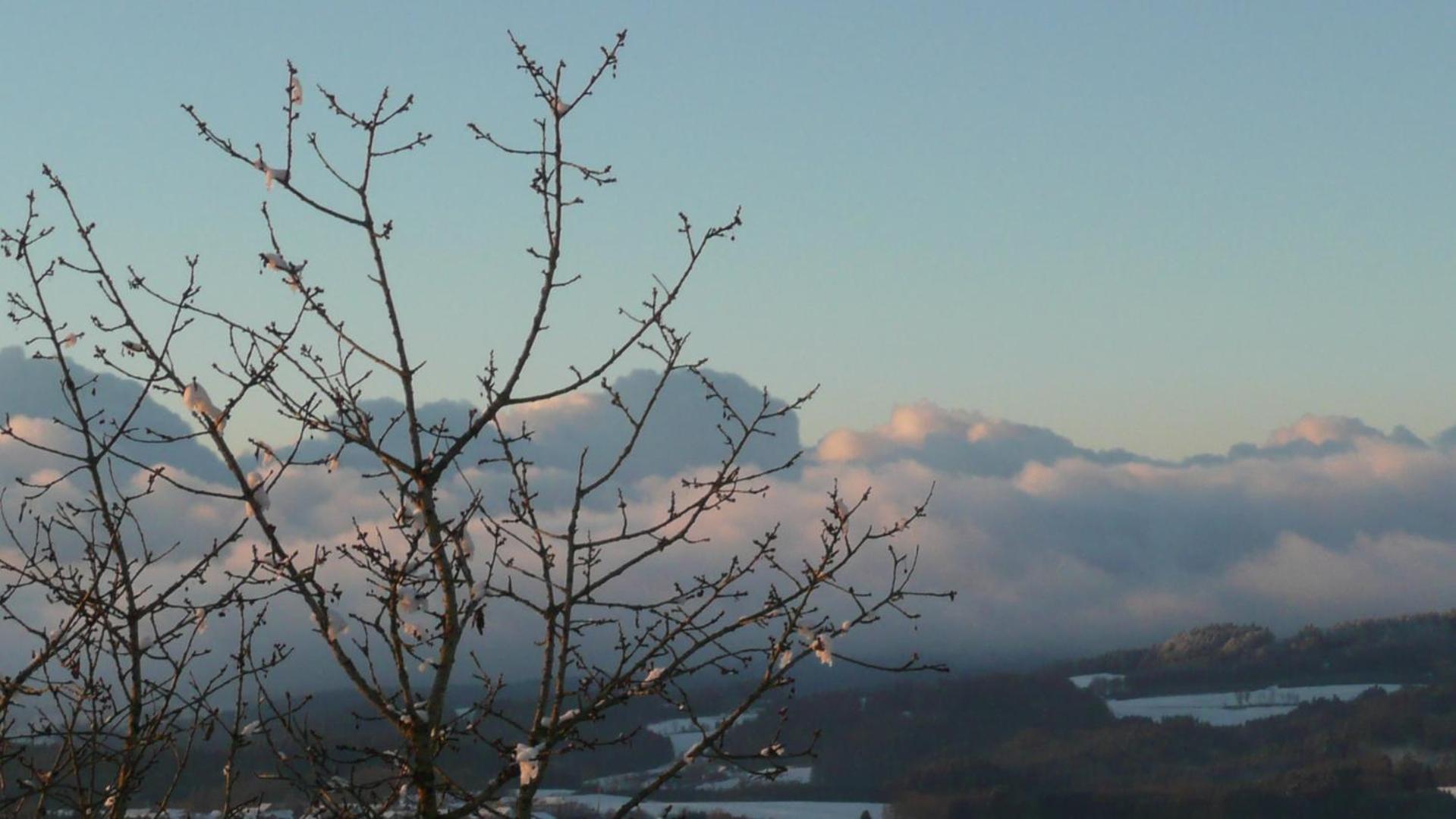 Ferienwohnungen Alpenblick Mit Garten -Panoramasauna- Kirchdorf im Wald Bagian luar foto